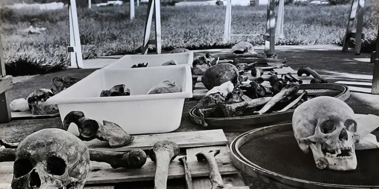 Estado brasileiro pede desculpas por negligência com ossadas de Perus